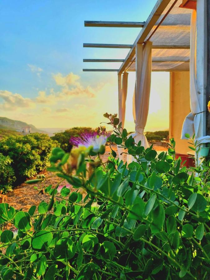 B&B Calata Di Soli Miniera dellʼArgentiera Eksteriør billede